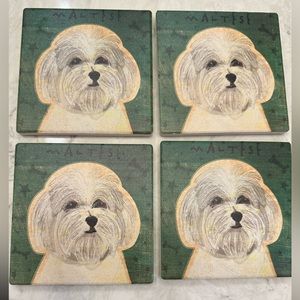 Set of four Maltese coasters- precious!